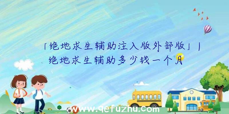 「绝地求生辅助注入版外部版」|绝地求生辅助多少钱一个月